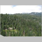 20060822_22Sequoia_012 copia.jpg